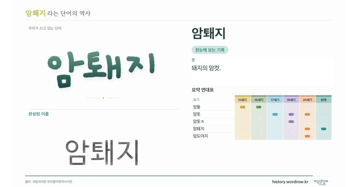 암퇘지 대표 이미지