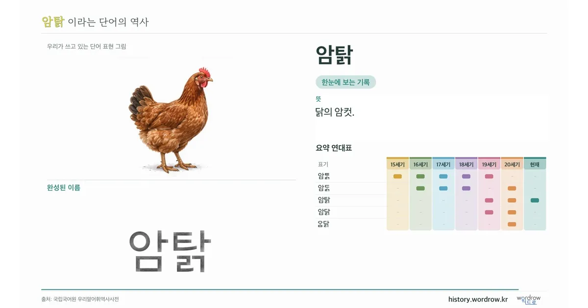 암탉 대표 이미지