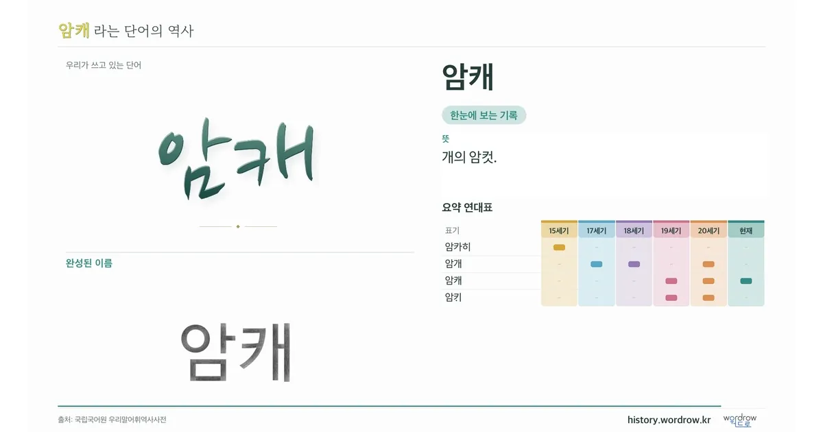암캐 대표 이미지