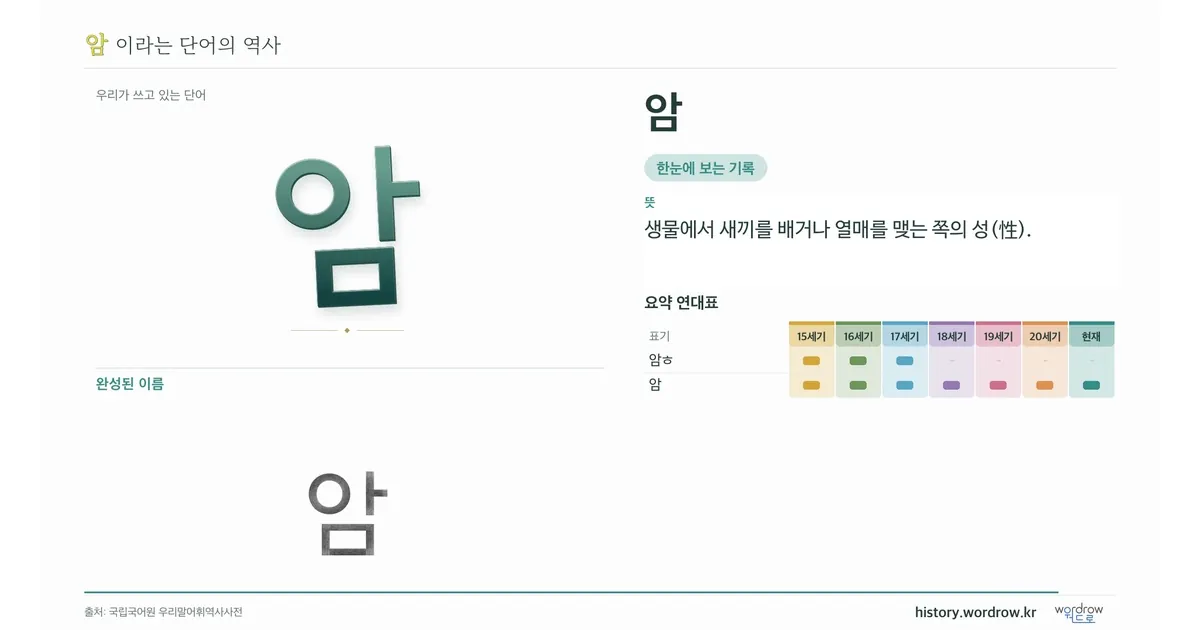 암 대표 이미지