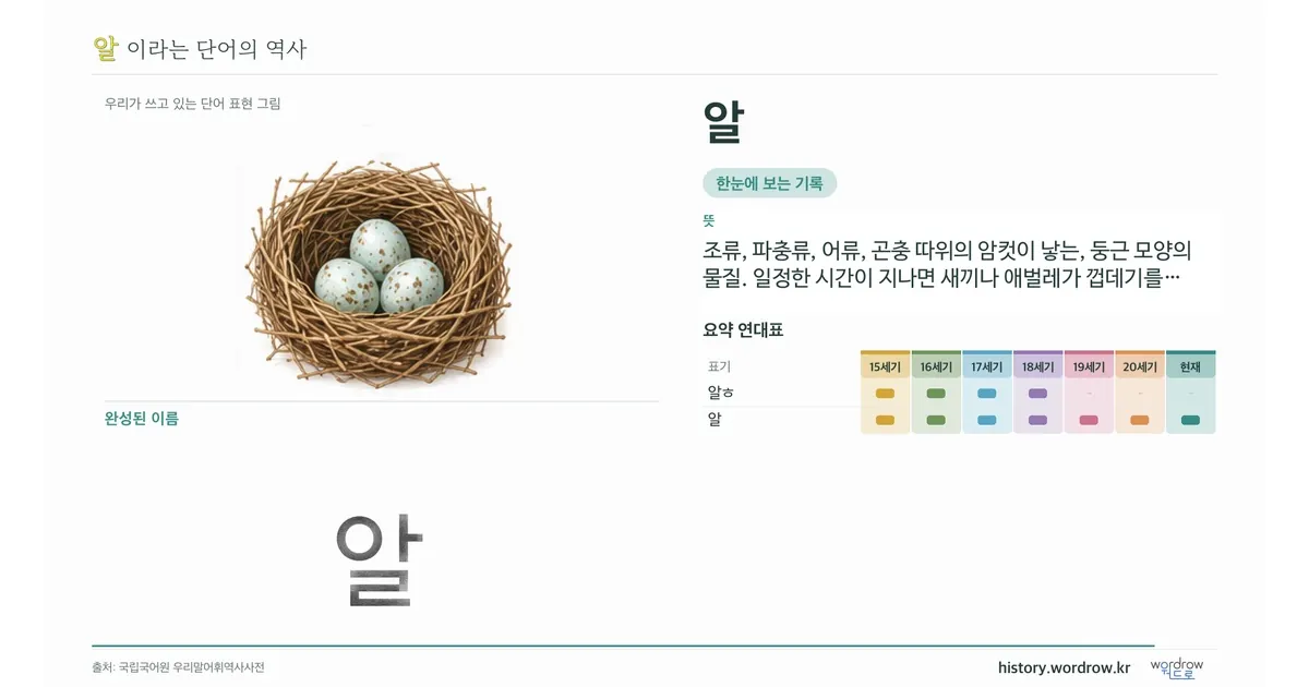 알 대표 이미지