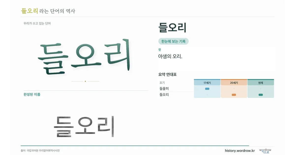 들오리 대표 이미지
