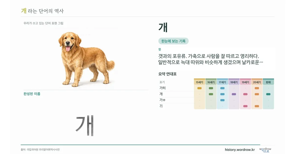 개 대표 이미지