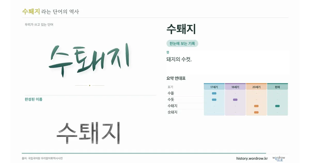 수퇘지 대표 이미지