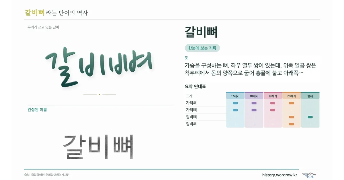 갈비뼈 대표 이미지