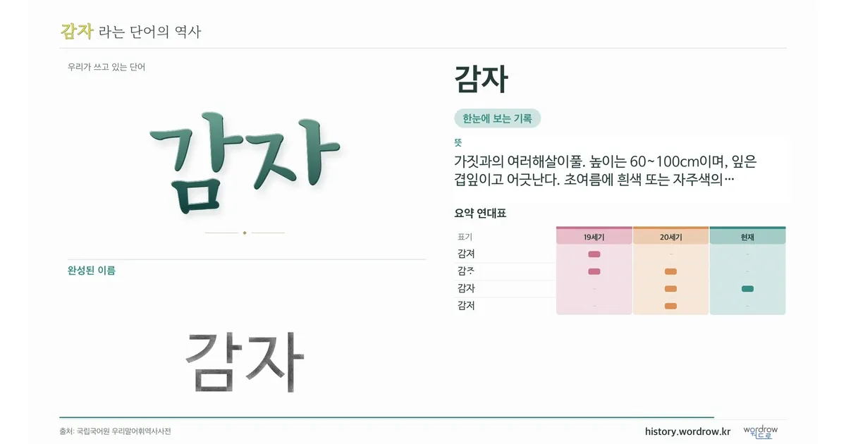 감자 대표 이미지
