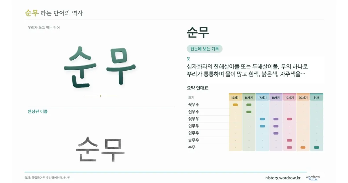 순무 대표 이미지