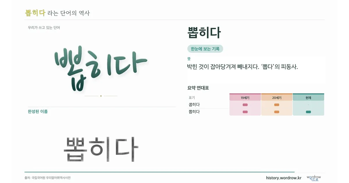 뽑히다 대표 이미지