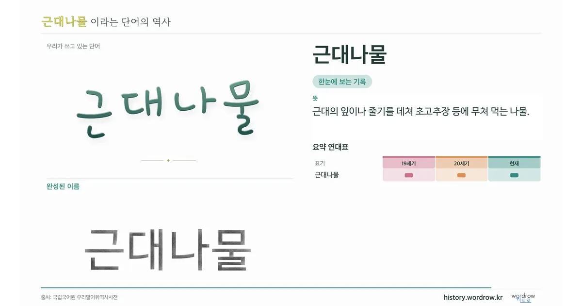 근대나물 대표 이미지