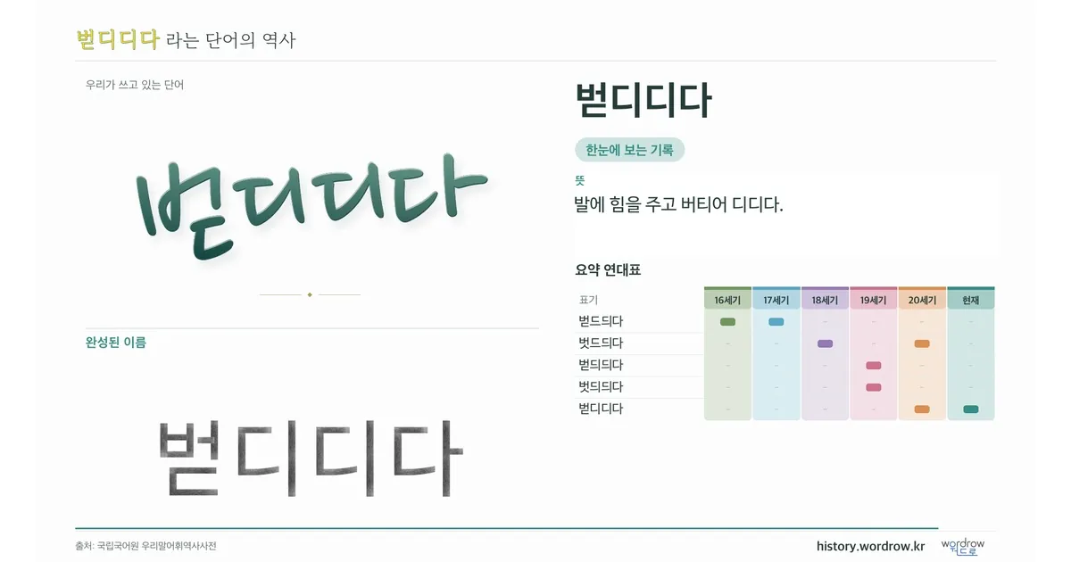 벋디디다 대표 이미지