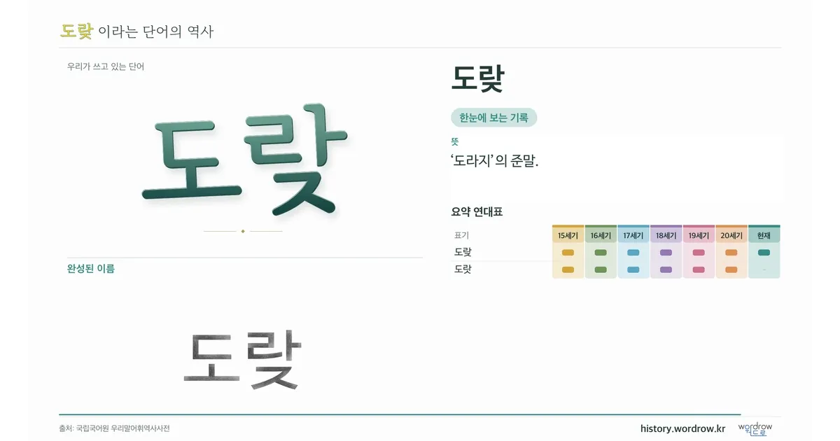 도랒 대표 이미지