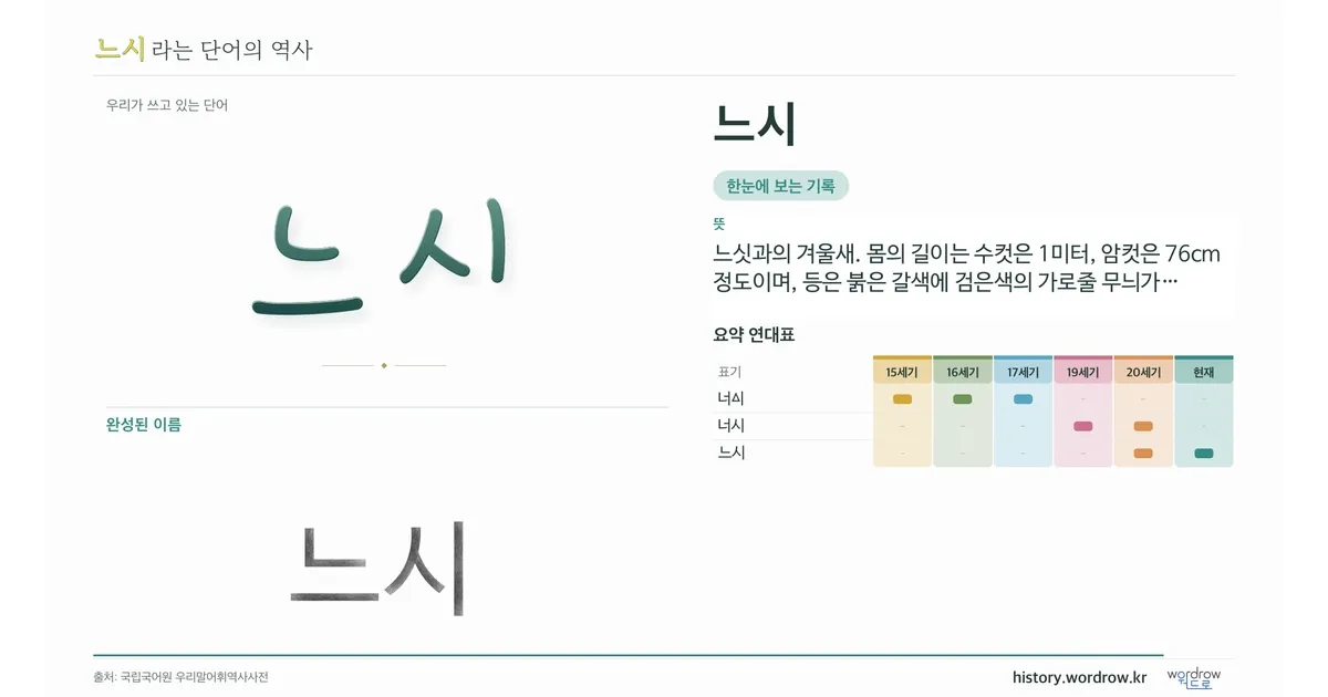 느시 대표 이미지