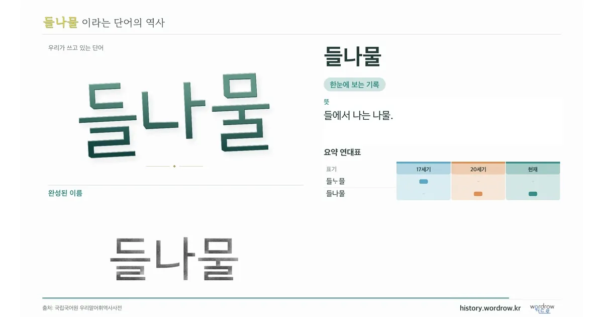 들나물 대표 이미지