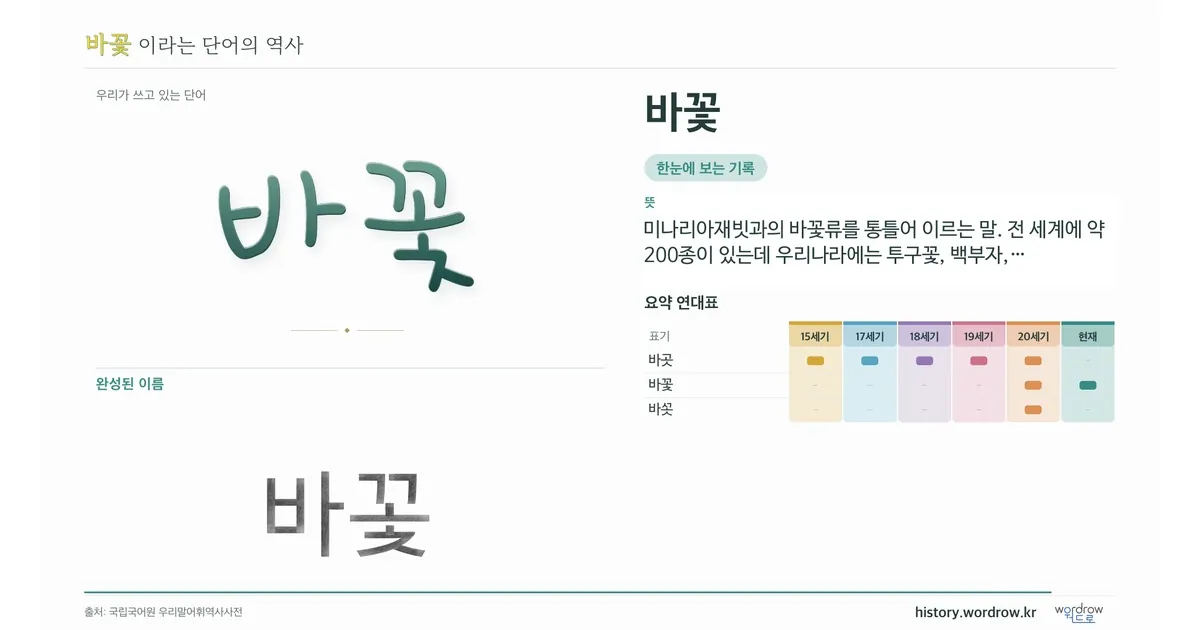 바꽃 대표 이미지