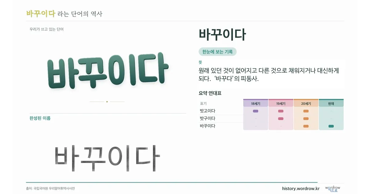 바꾸이다 대표 이미지