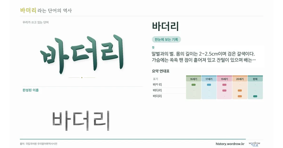 바더리 대표 이미지