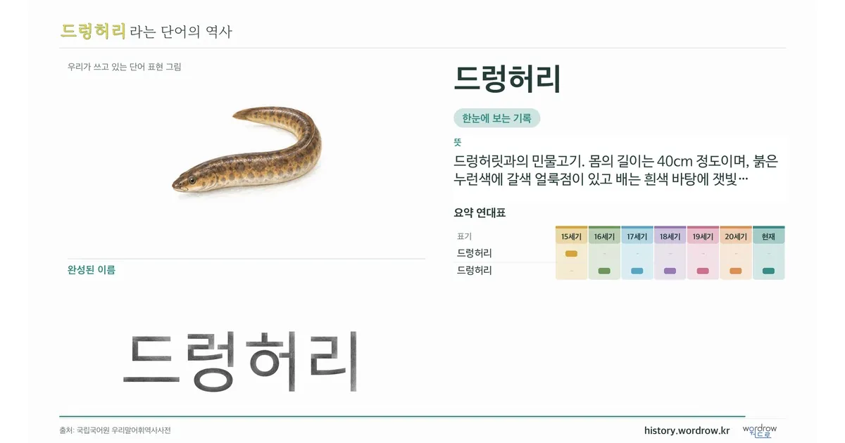 드렁허리 대표 이미지