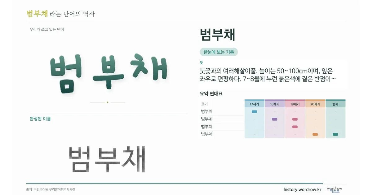 범부채 대표 이미지