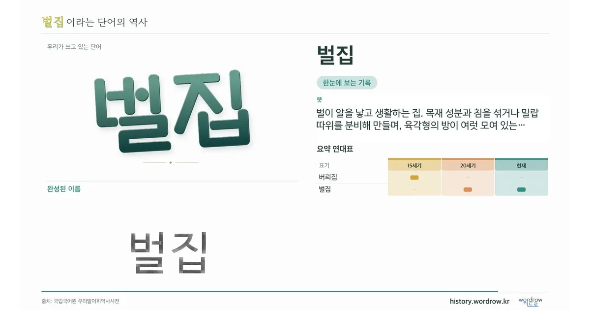 벌집 대표 이미지