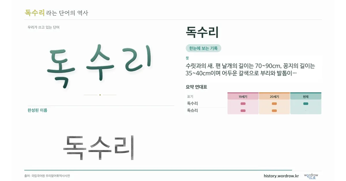 독수리 대표 이미지