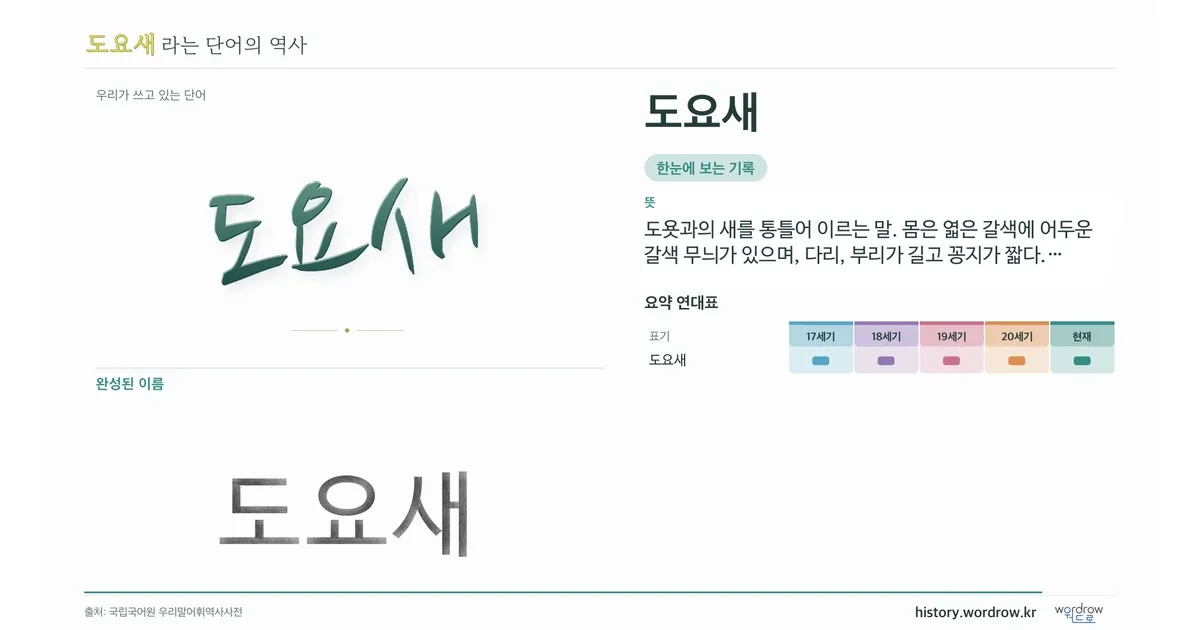 도요새 대표 이미지