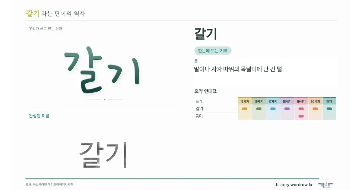 갈기 대표 이미지