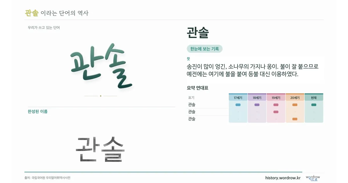 관솔 대표 이미지