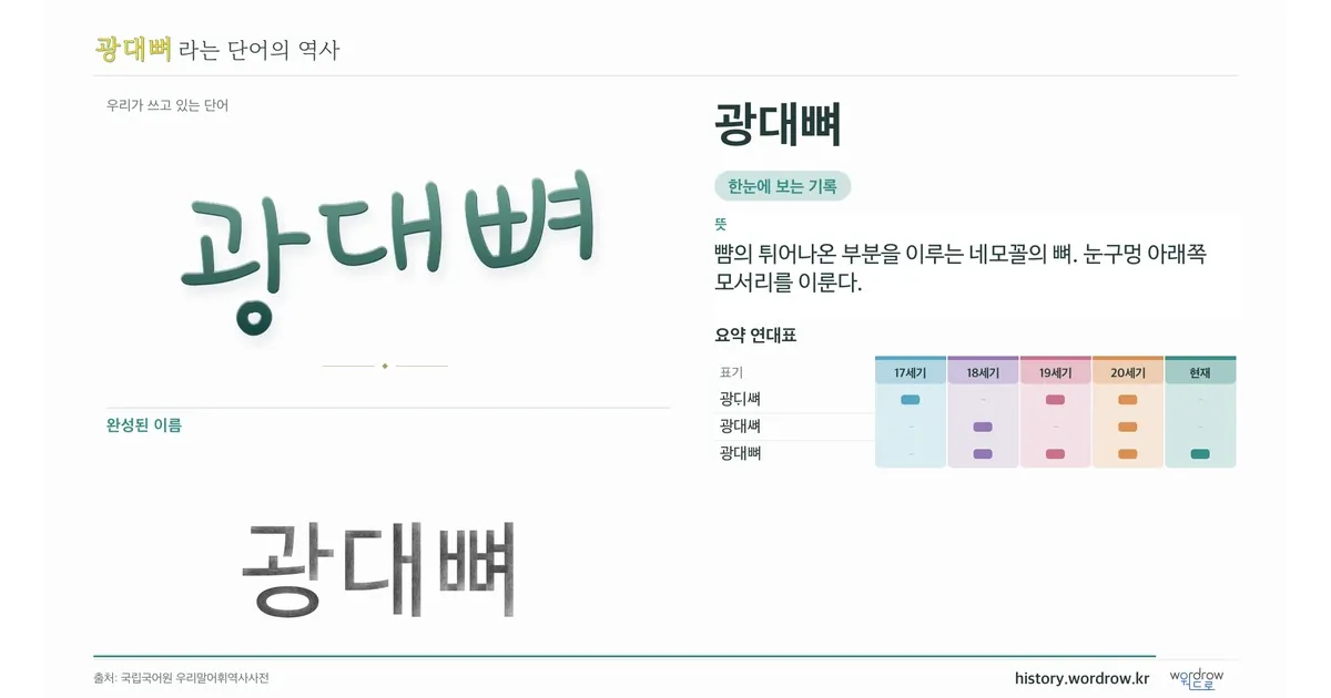 광대뼈 대표 이미지