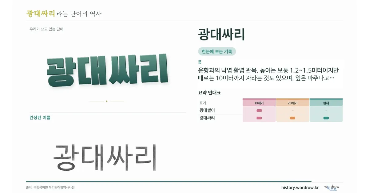 광대싸리 대표 이미지