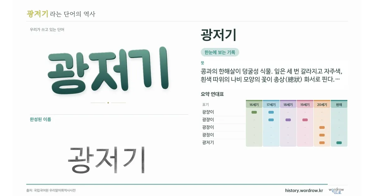 광저기 대표 이미지