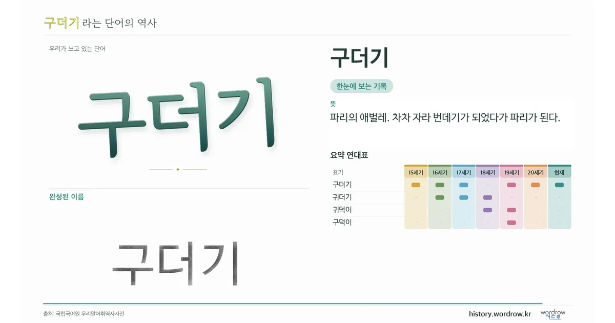 구더기 대표 이미지