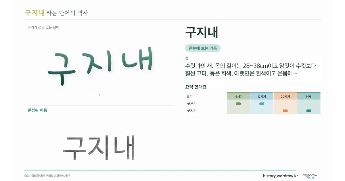 구지내 대표 이미지