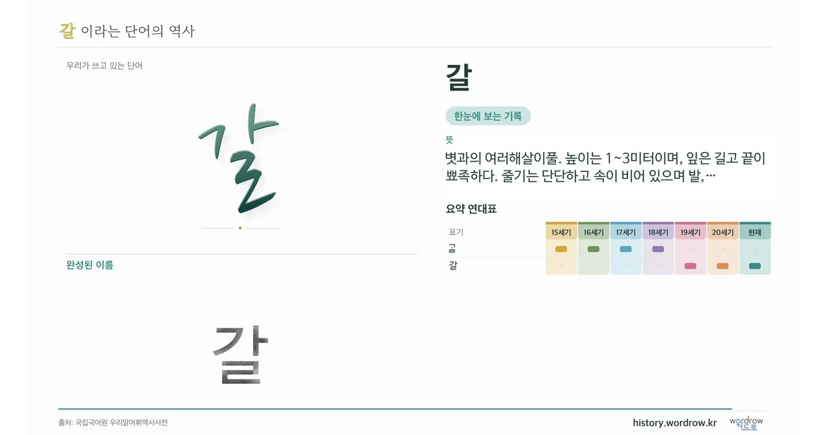 갈 대표 이미지