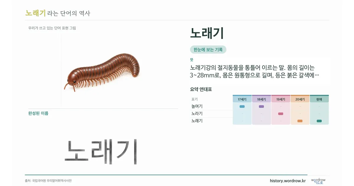 노래기 대표 이미지