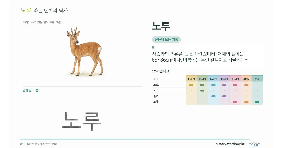 노루 대표 이미지