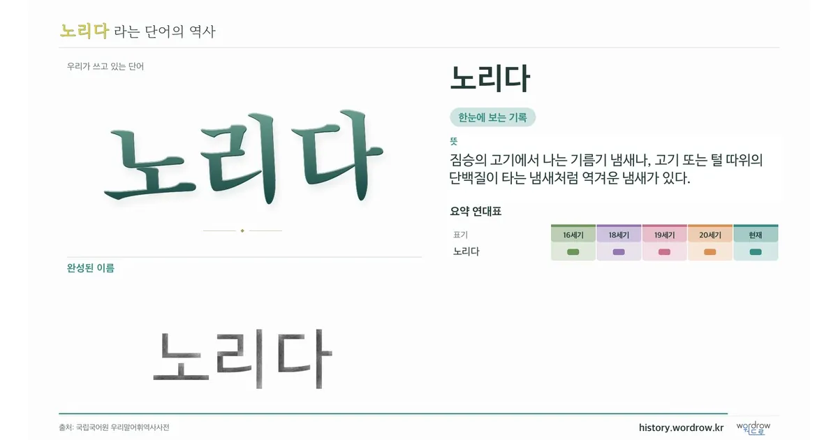 노리다 대표 이미지