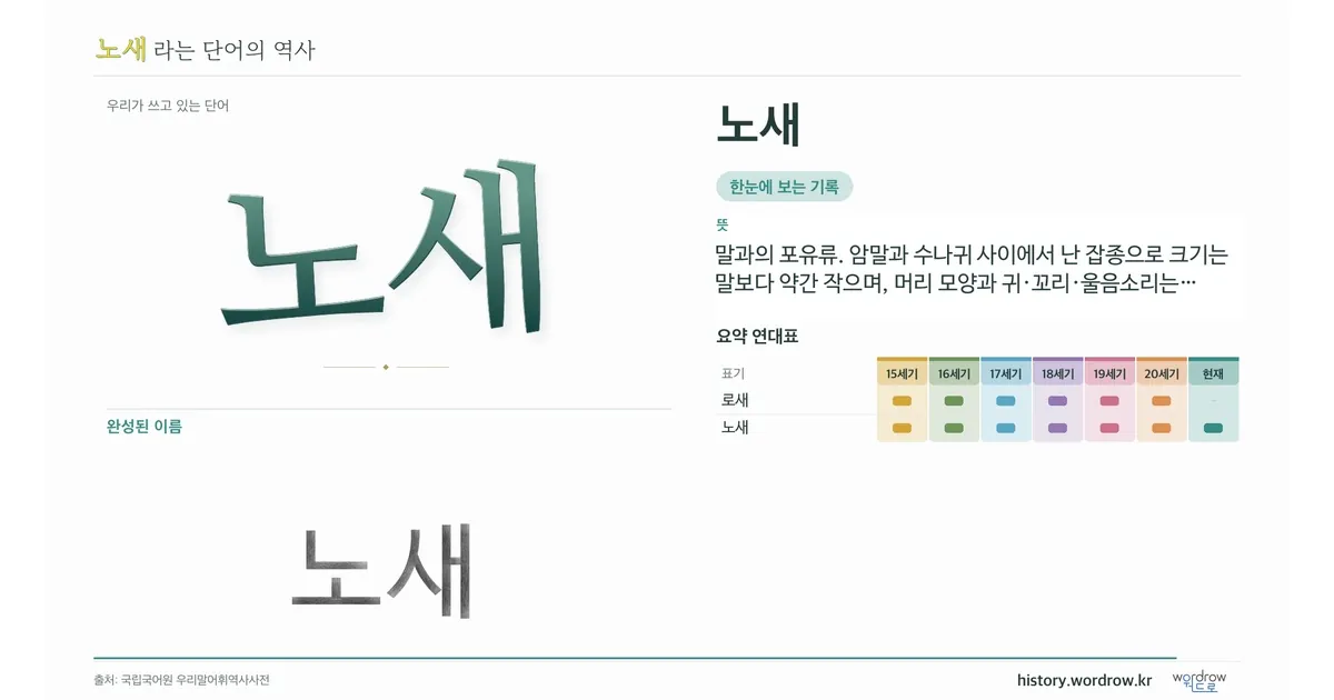 노새 대표 이미지