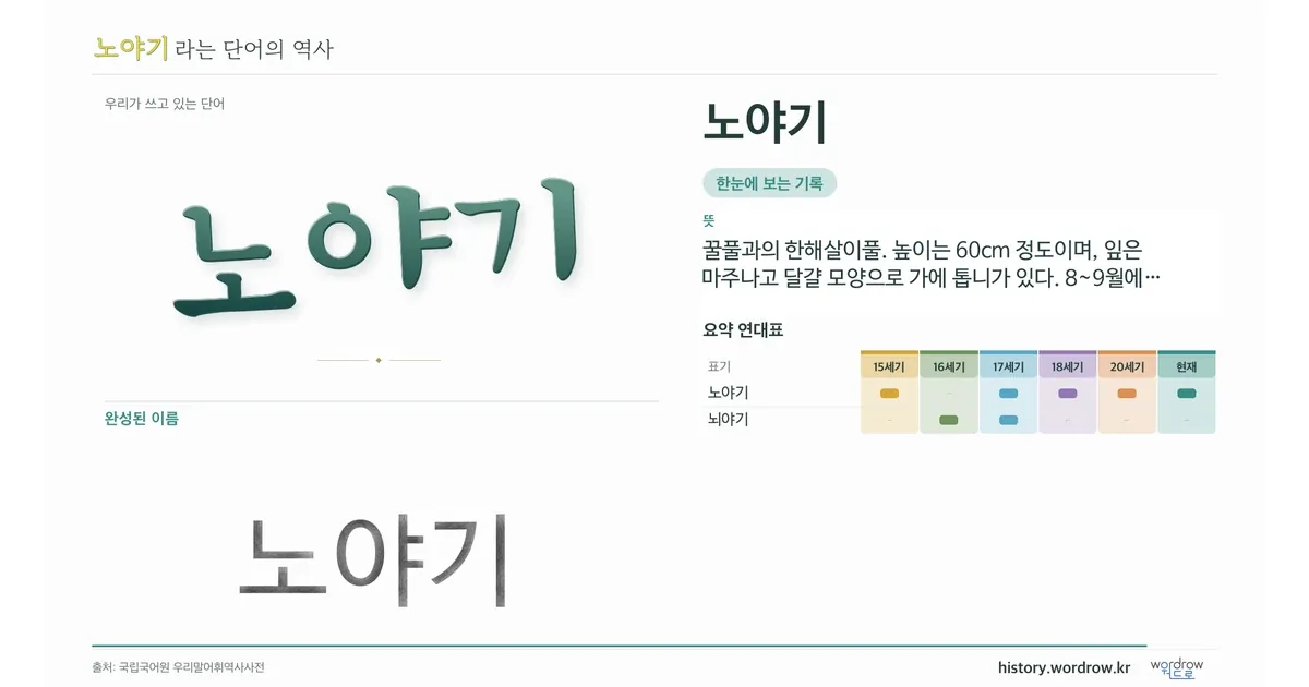 노야기 대표 이미지