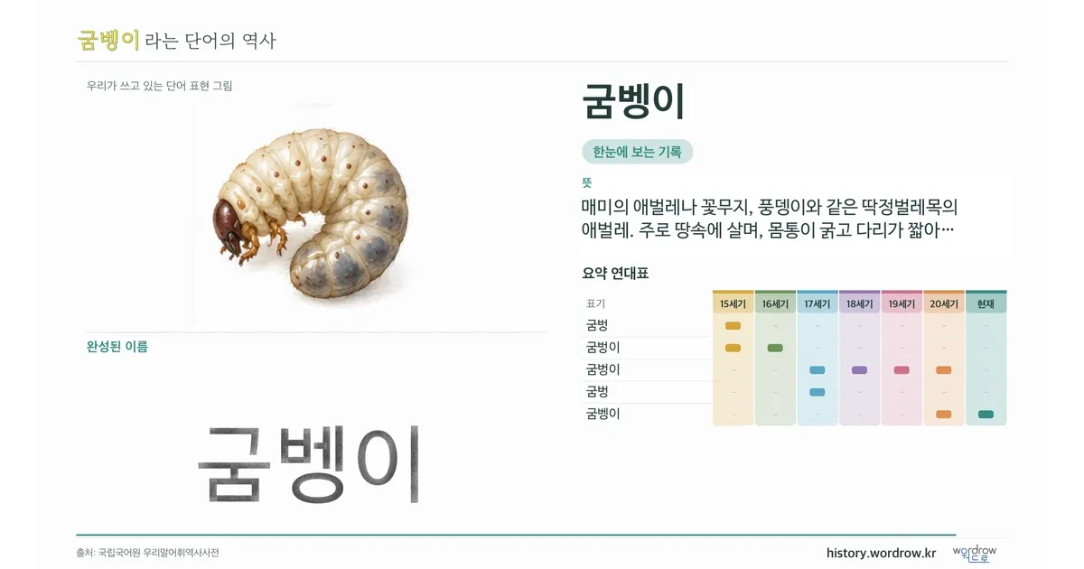 굼벵이 대표 이미지