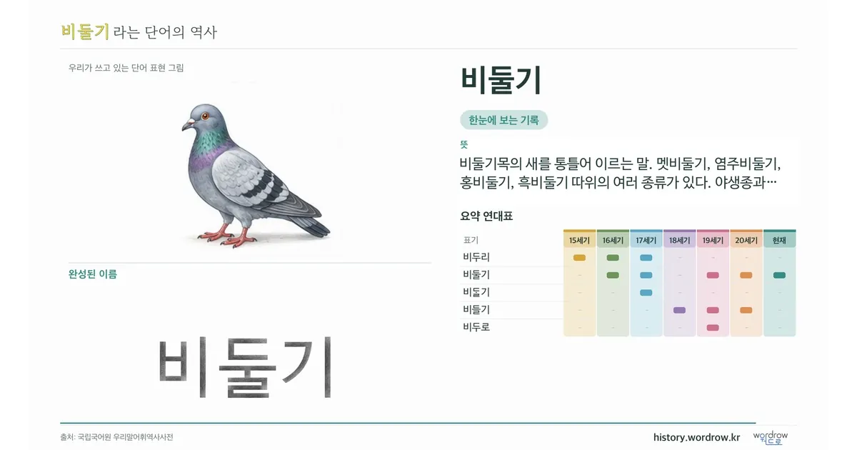 비둘기 대표 이미지
