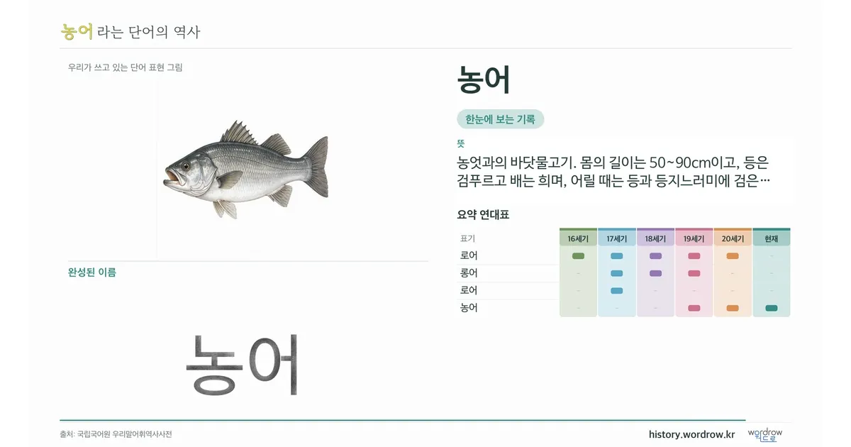 농어 대표 이미지