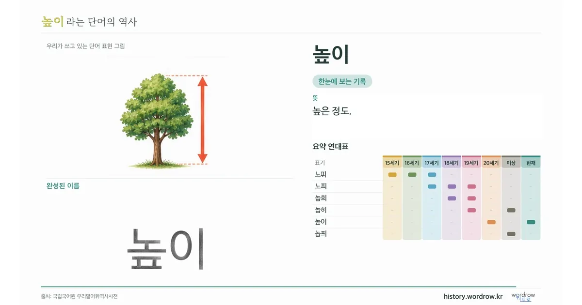 높이 대표 이미지