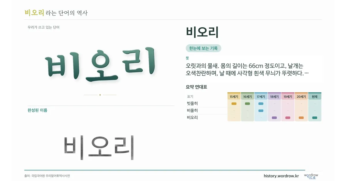 비오리 대표 이미지