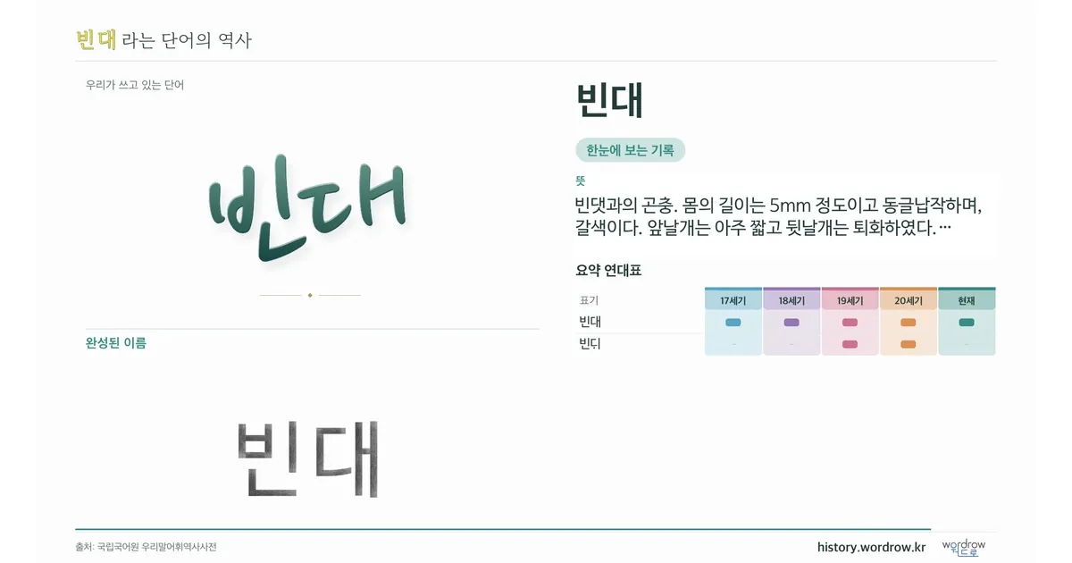 빈대 대표 이미지
