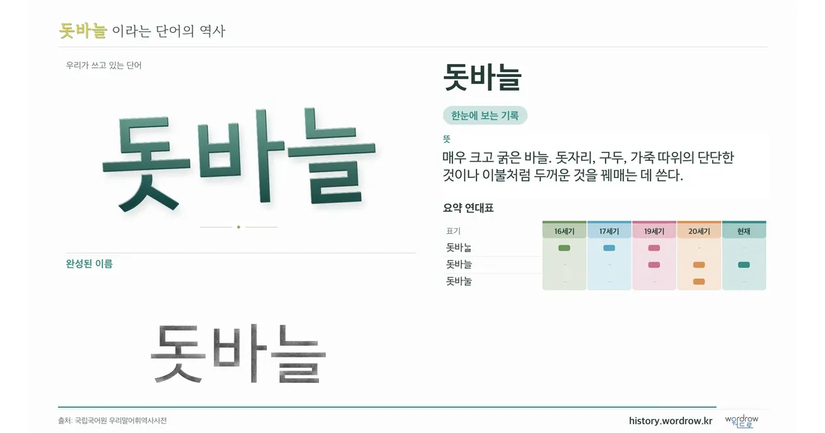 돗바늘 대표 이미지