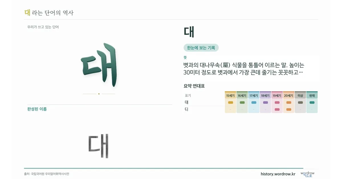 대 대표 이미지
