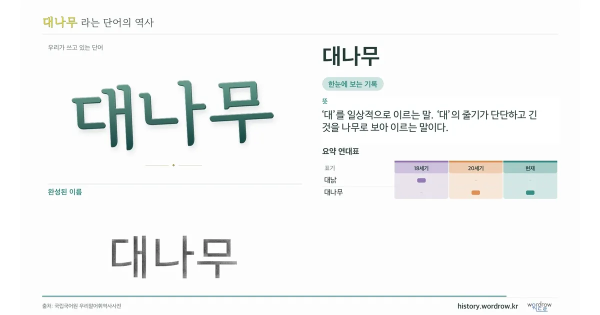 대나무 대표 이미지