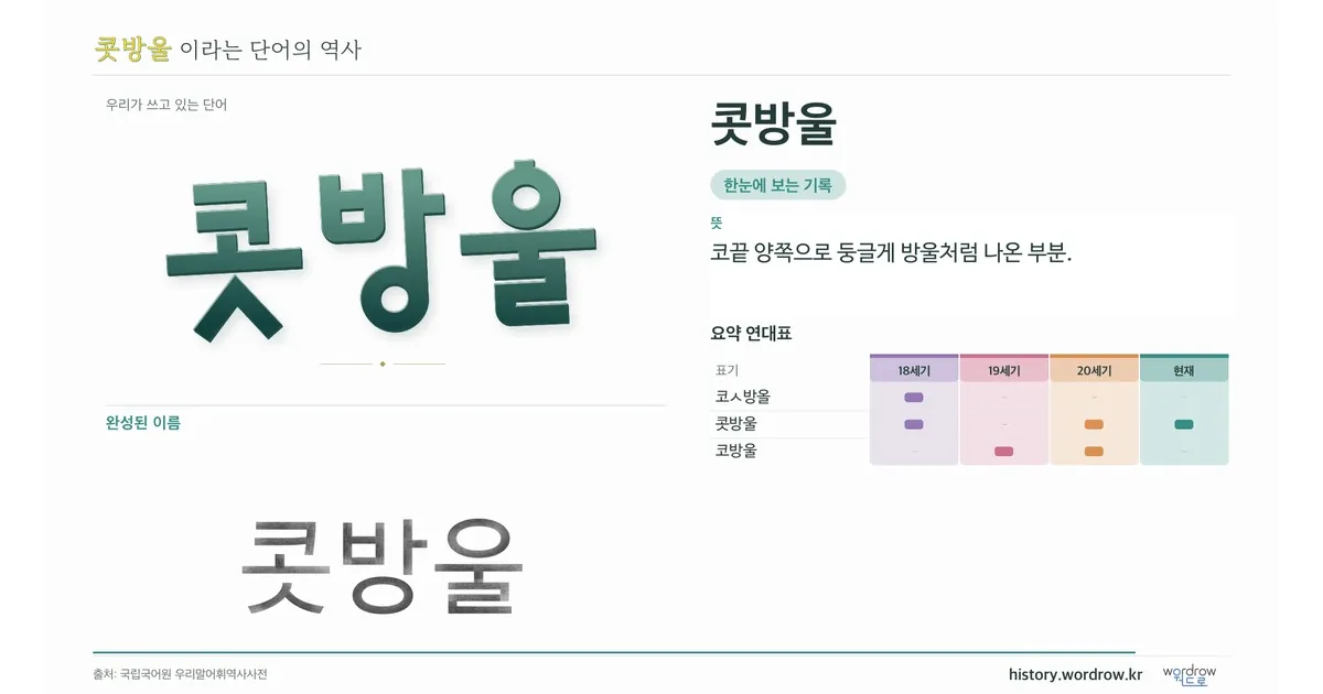 콧방울 대표 이미지