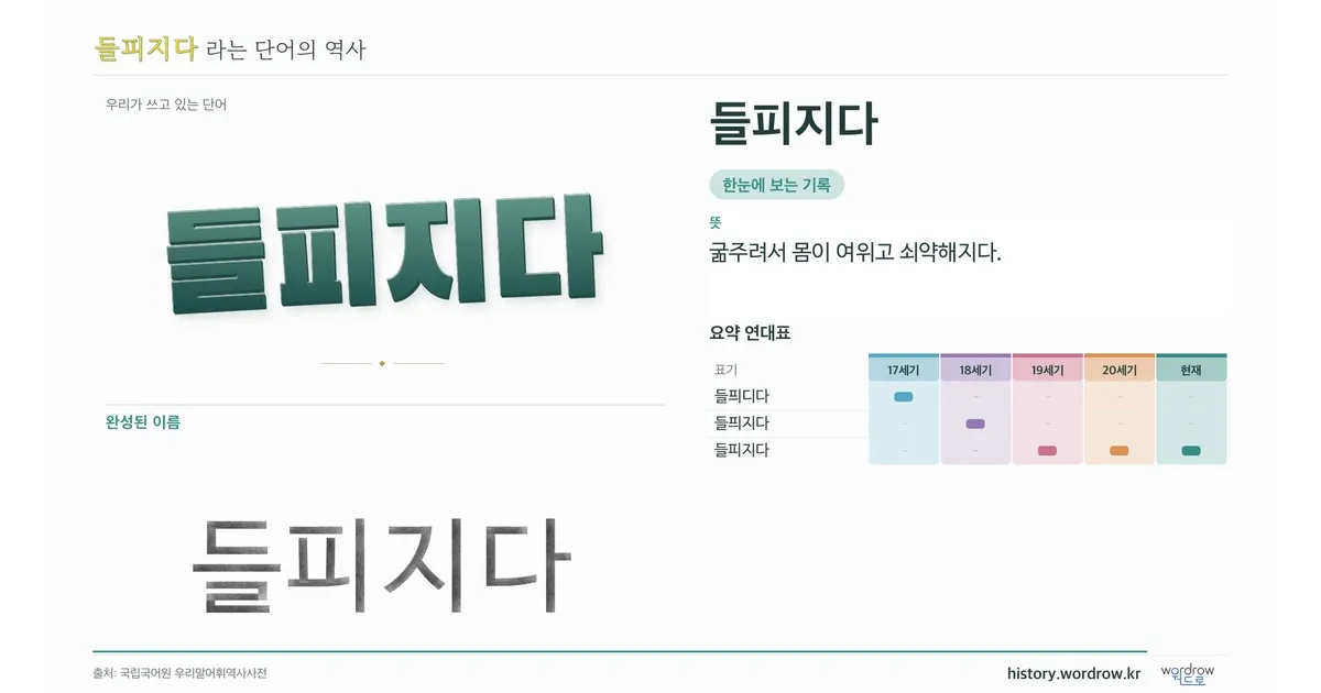 들피지다 대표 이미지