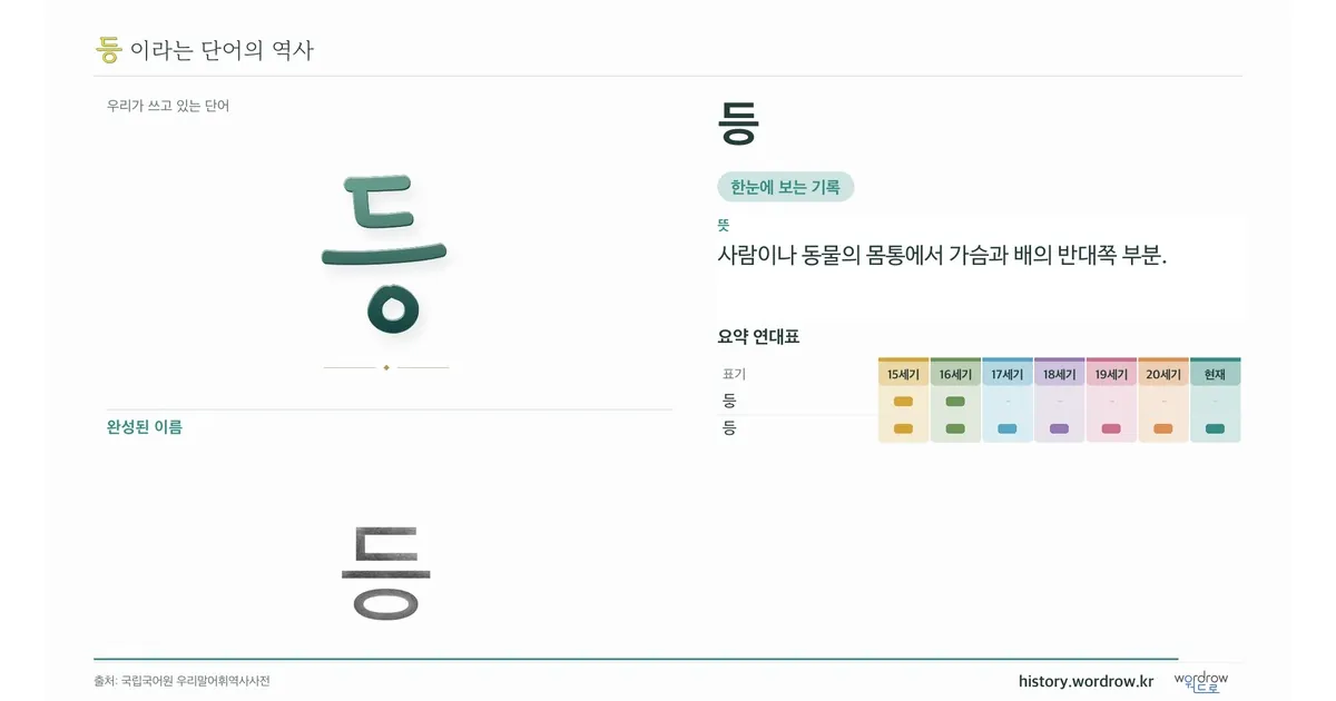 등 대표 이미지
